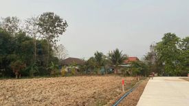 Land for sale in Pong Pha, Chiang Rai