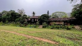 Land for sale in Chiang Dao, Chiang Mai