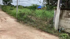 Land for sale in Tan Diao, Saraburi