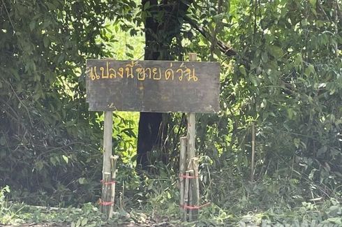 Land for sale in Sa Khwan, Sa Kaeo