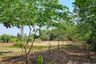 Land for sale in Nong Rong, Saraburi
