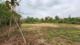 Land for sale in Nong Rong, Saraburi