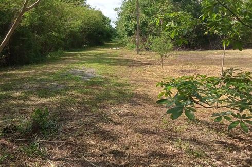 Land for sale in Nong Rong, Saraburi