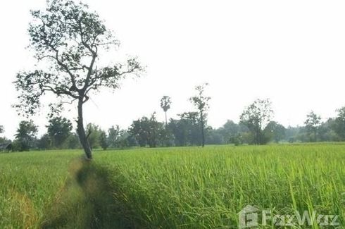 Land for sale in Yang Sak Krapho Lum, Ubon Ratchathani