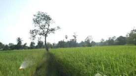 Land for sale in Yang Sak Krapho Lum, Ubon Ratchathani