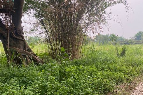 Land for sale in Huai Yap, Lamphun