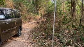 Land for sale in Huai Yap, Lamphun