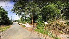 Land for sale in Khuan Lang, Songkhla