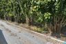 Land for sale in Bo Ngoen, Pathum Thani