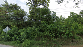 Land for sale in Pong Yang Khok, Lampang