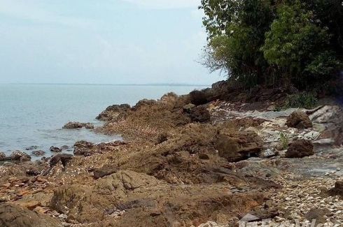 Land for sale in Puyu, Satun