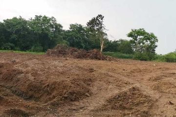 Land for sale in Nong Phrong, Prachin Buri