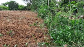 Land for sale in Nong Phrong, Prachin Buri