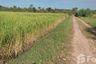 Land for sale in Fa Yat, Yasothon