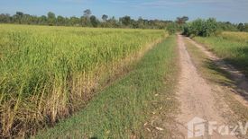 Land for sale in Fa Yat, Yasothon