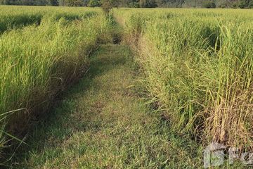 Land for sale in Fa Yat, Yasothon