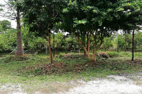 Land for sale in Tha Muang, Kanchanaburi