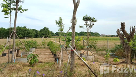 Land for sale in Tha Muang, Kanchanaburi