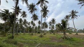 Land for sale in Ang Thong, Prachuap Khiri Khan