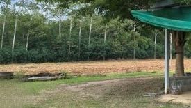 Land for sale in Nong Sarai, Nakhon Ratchasima