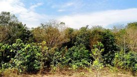 Land for sale in Nong Ya Khao, Nakhon Ratchasima