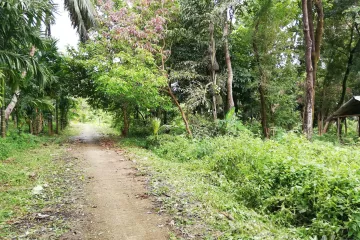 Land for sale in Ko Phayam, Ranong