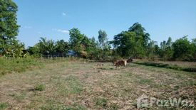 Land for sale in Kantuatramuan, Surin