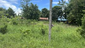 Land for sale in Tha Mai, Kamphaeng Phet