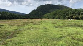 Land for sale in Sichon, Nakhon Si Thammarat