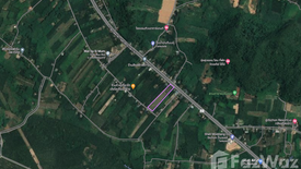 Land for sale in Sichon, Nakhon Si Thammarat