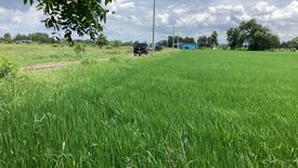 Land for sale in Kai Sao, Saraburi