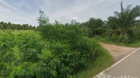 Land for sale in Na Hu Kwang, Prachuap Khiri Khan