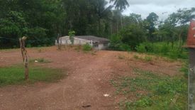 Land for sale in Lo Yung, Phang Nga