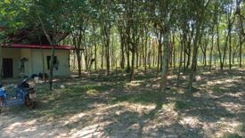 Land for sale in Ban Tat, Udon Thani