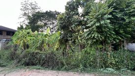 Land for sale in Sila, Khon Kaen