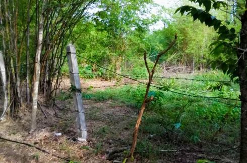 Land for sale in Nam Ruem, Tak