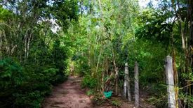 Land for sale in Nam Ruem, Tak