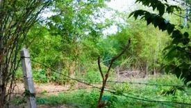 Land for sale in Nam Ruem, Tak