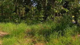 Land for sale in Tha Khum Ngoen, Lamphun