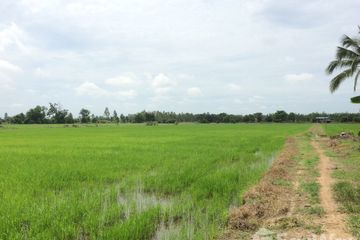 Land for sale in Song Tham, Kamphaeng Phet