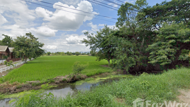 Land for sale in Ton Thong, Lamphun