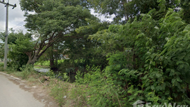 Land for sale in Ton Thong, Lamphun