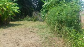 Land for sale in Mae Sai, Phayao