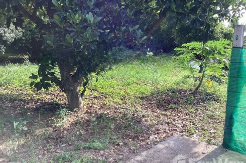 Land for sale in Thap Kwang, Saraburi