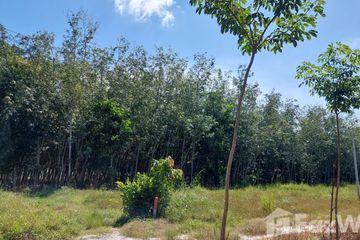 Land for sale in Nong Bua, Rayong