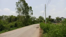 Land for sale in Lum Lamchi, Chaiyaphum