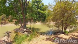 Land for sale in Noen Kham, Chainat