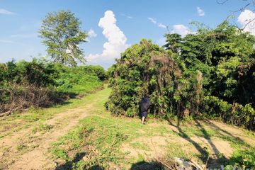 Land for sale in Mueang Nga, Lamphun