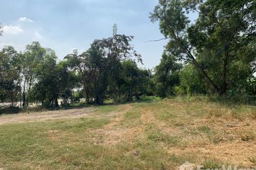 Land for sale in Chiang Rak Noi, Phra Nakhon Si Ayutthaya