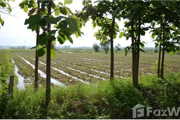 Land for sale in Mae Puem, Phayao